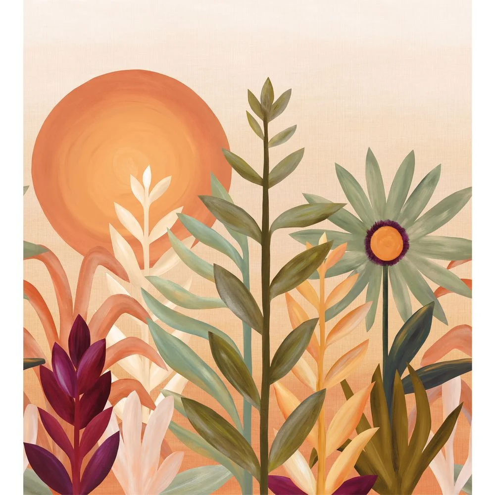 Jardin de cactus  75814180