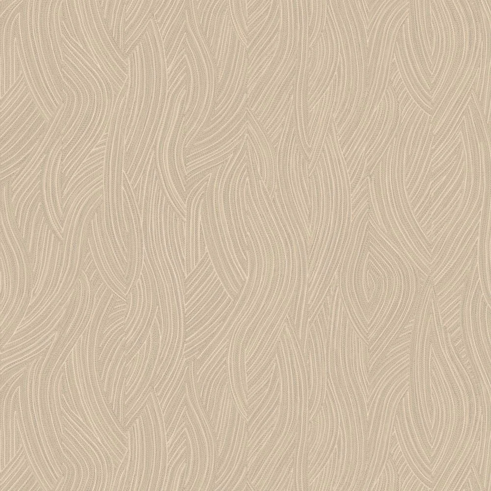 Kashmir  76552854