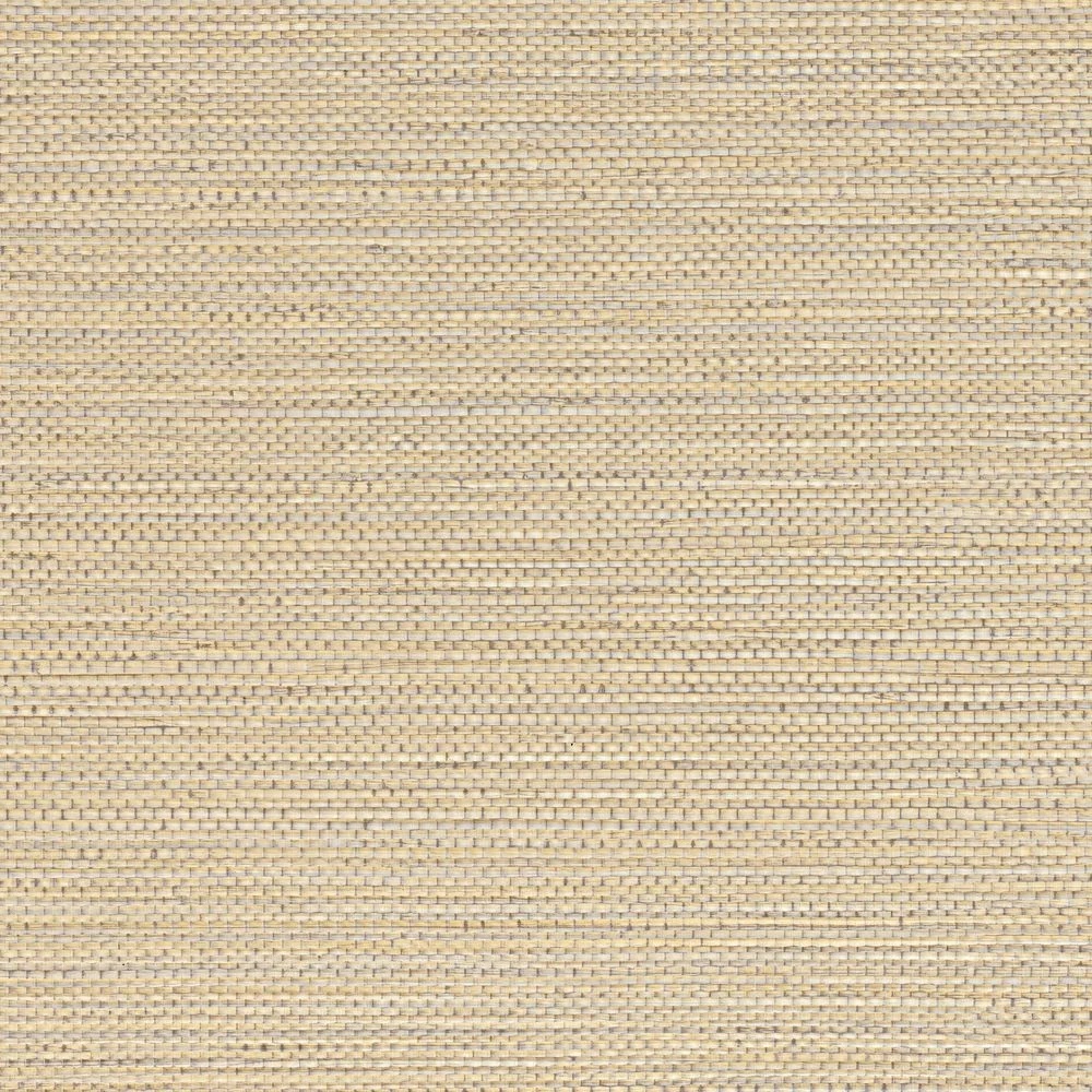 Zostera  75971630