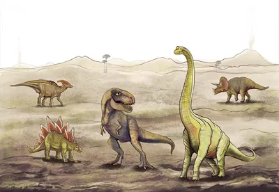 Fototapeta “Dinozaury” — wzór z bliska