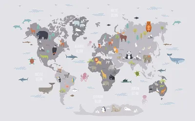 Fototapeta “Mapa świata” — wzór z bliska