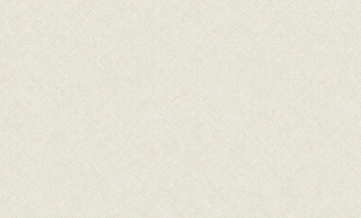 Concept Shimmer  CO1101