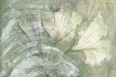 Kolor MLM-0525-0026-02
