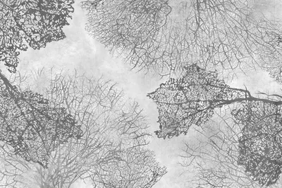 TPA-0324-0074-00