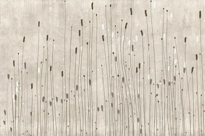 TPA-0125-0120-00