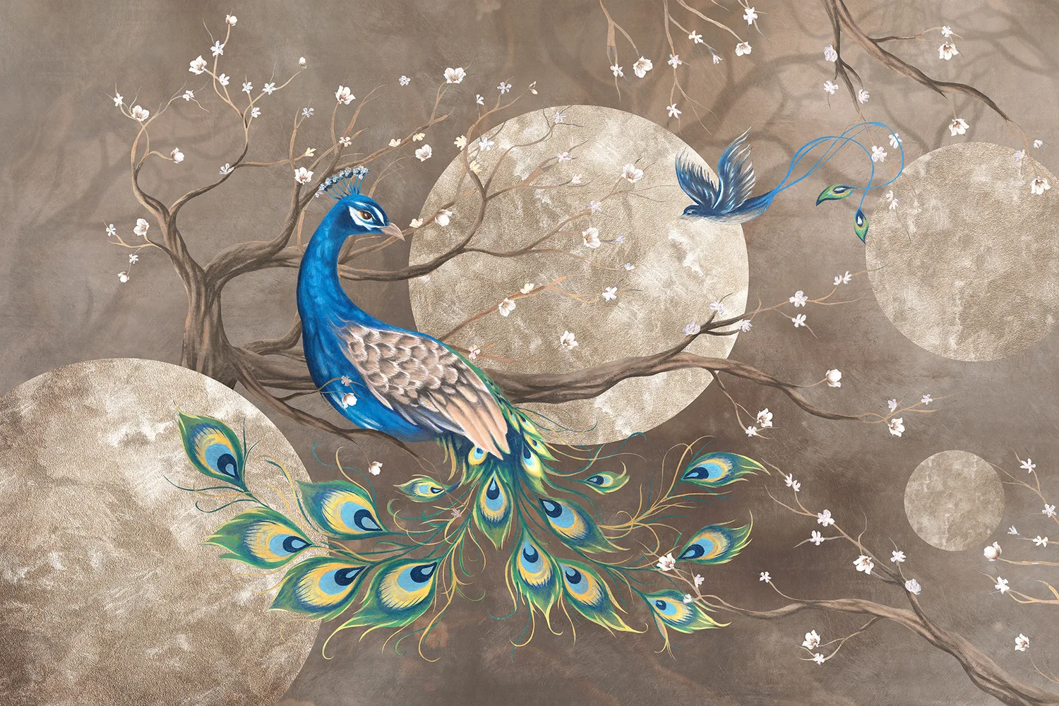 Peacock 1