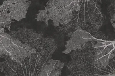 TPA-0324-0075-06