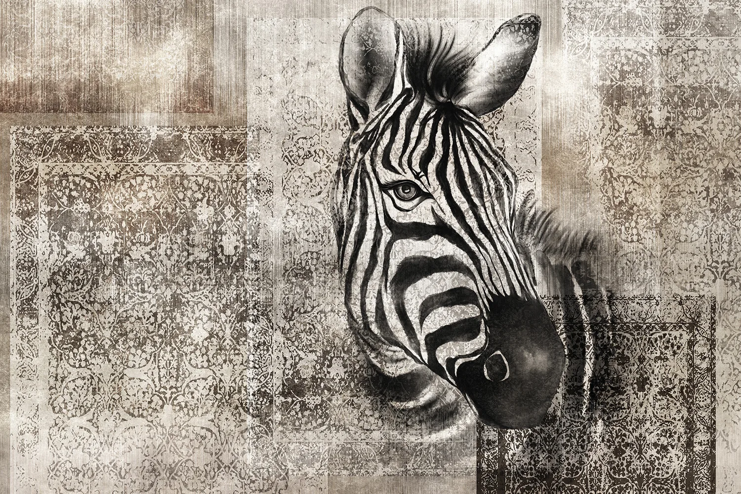 Zebra 1