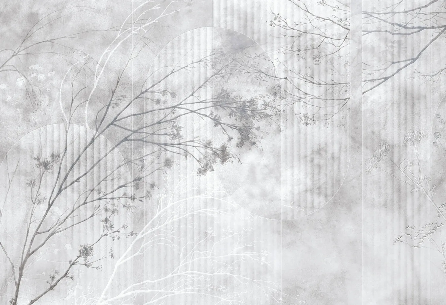 Albero 1