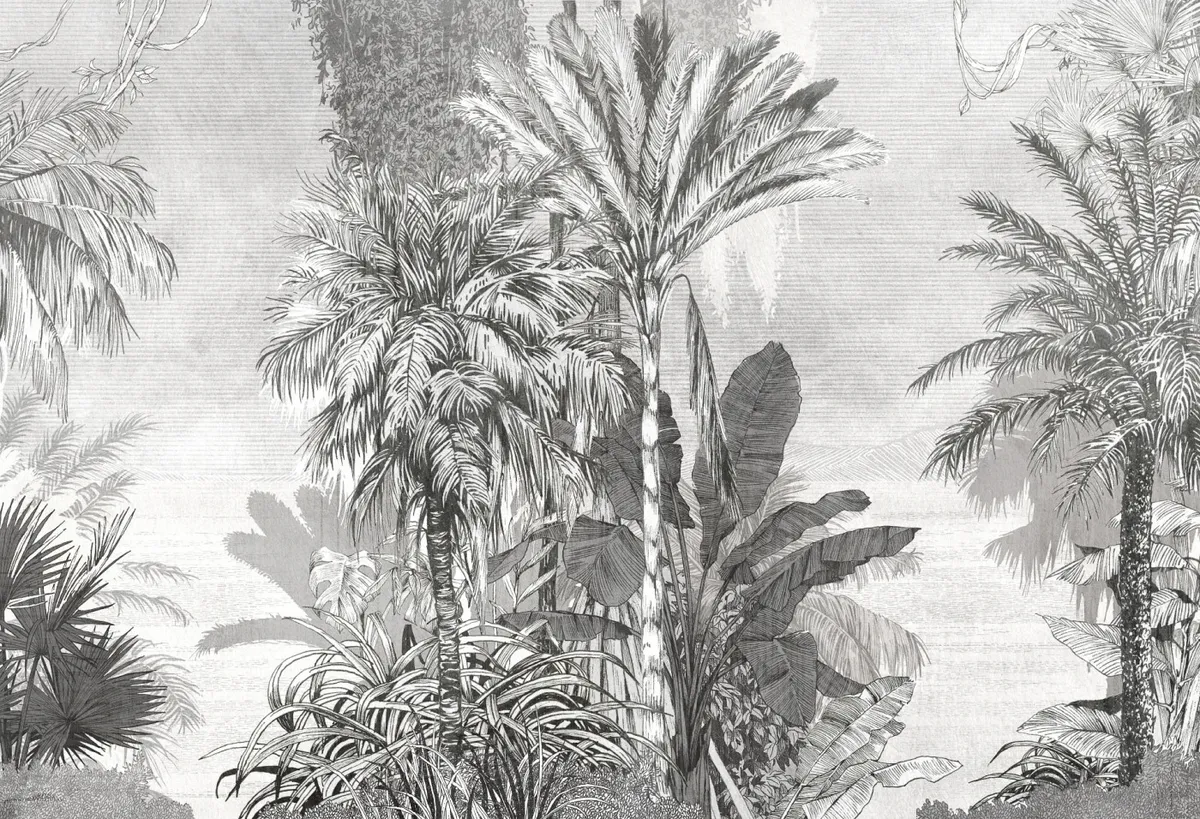 Borneo — wizualizacja