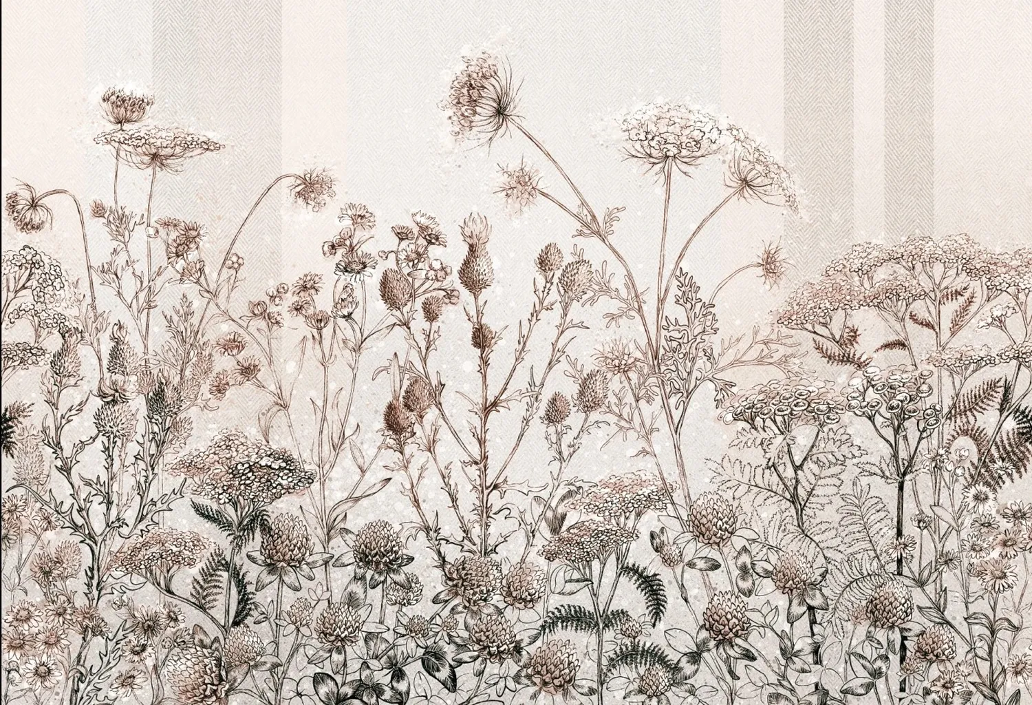 Clover 1