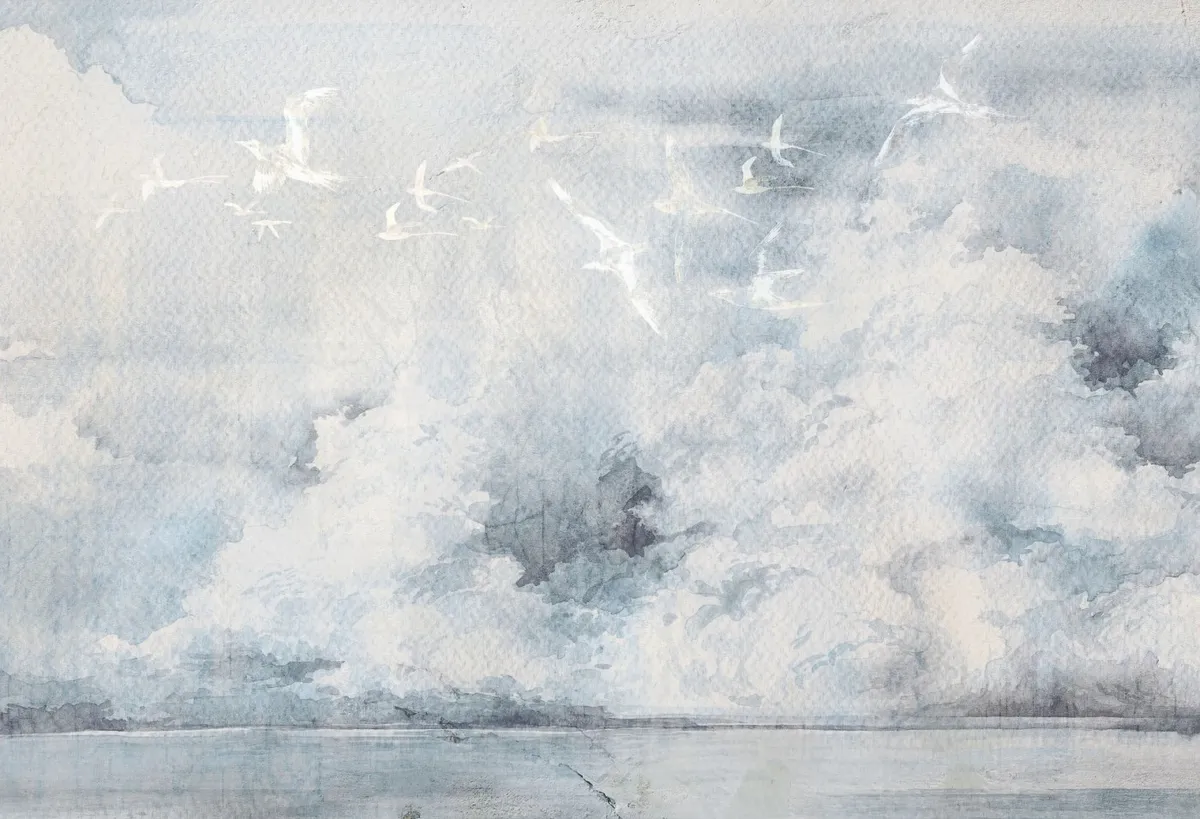 Cumulus — wizualizacja