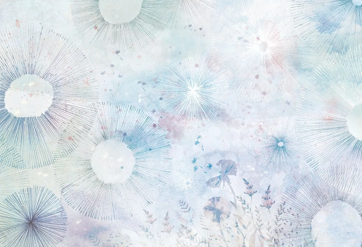 Dandelions 3