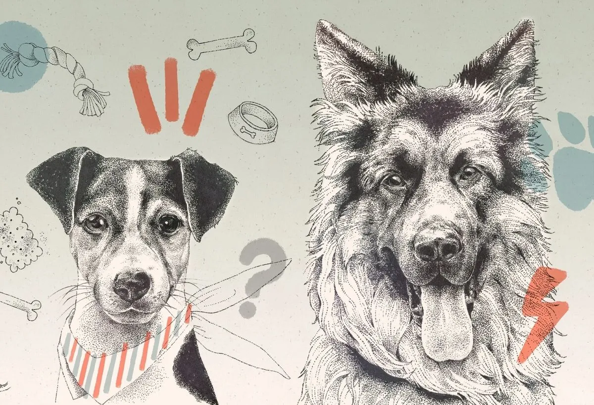Doggies 1