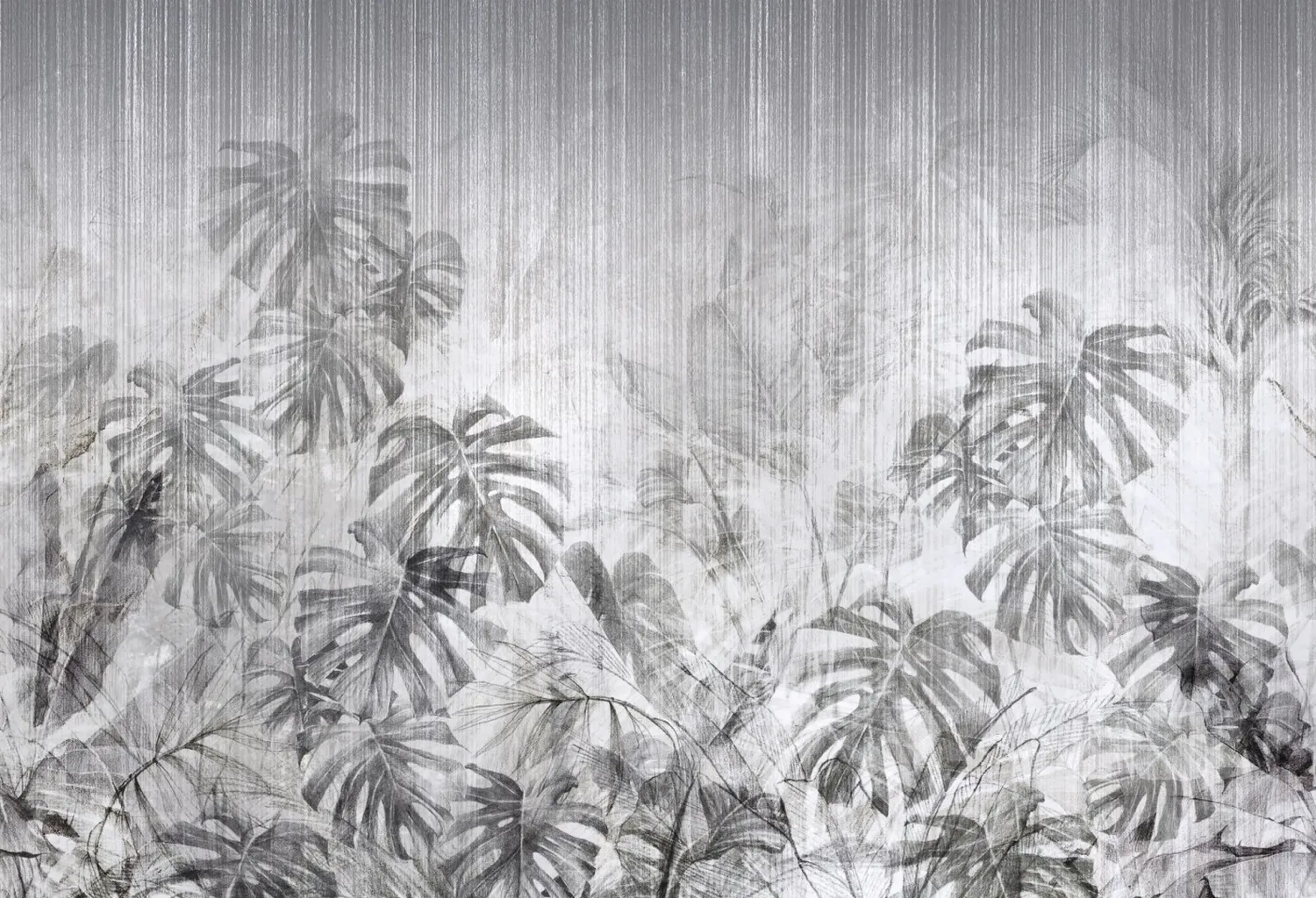 Exotic Monstera 3
