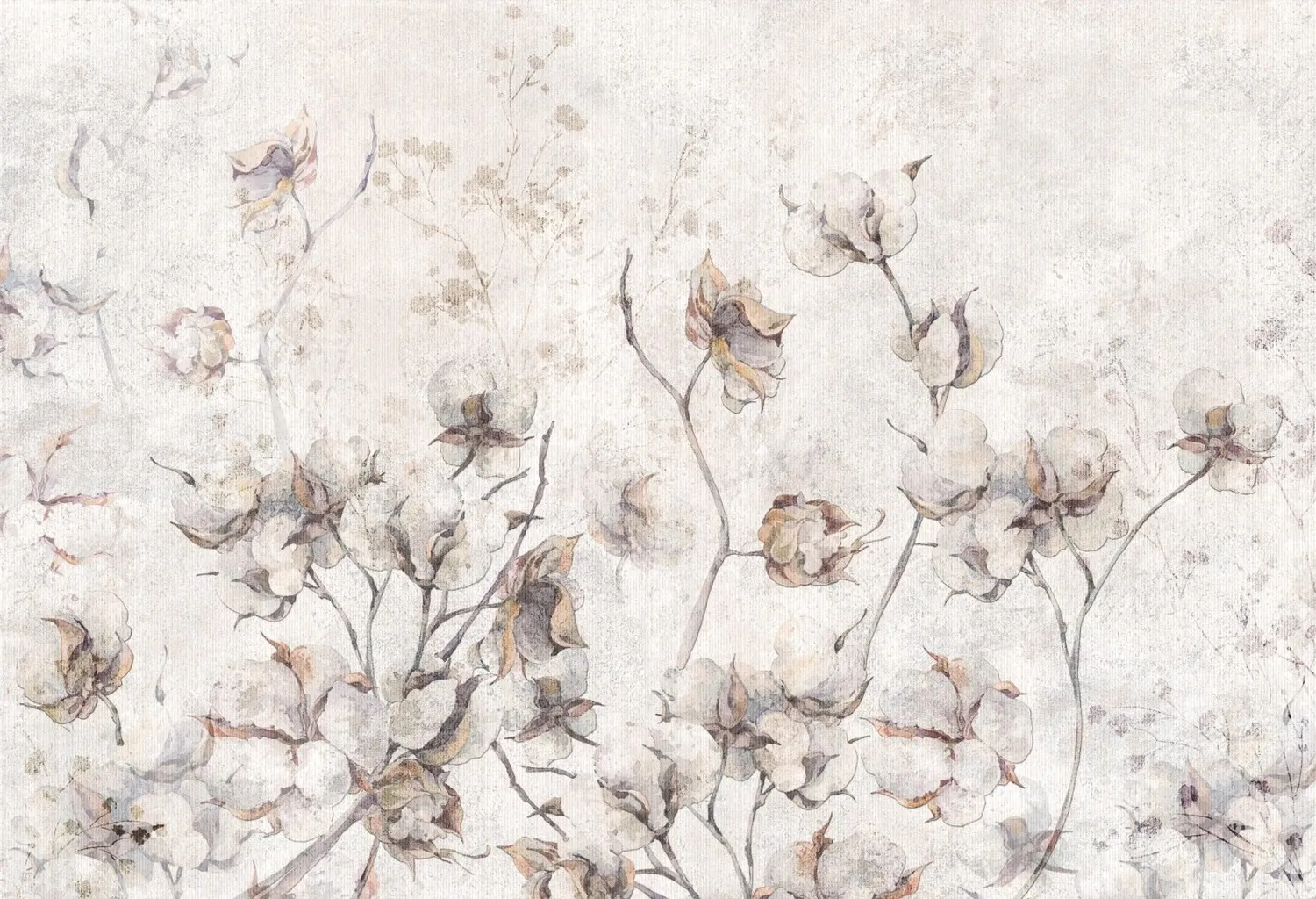 Fields Of Cotton 1