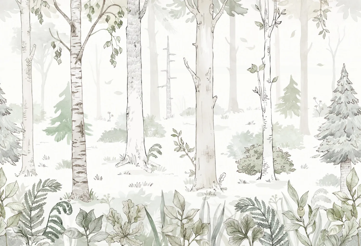 Hello Forest 1