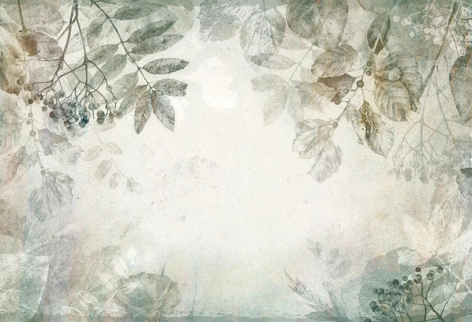 Herbarium 1