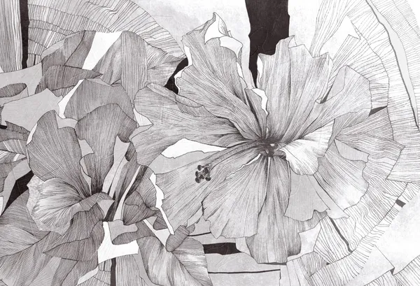 graphite-grey