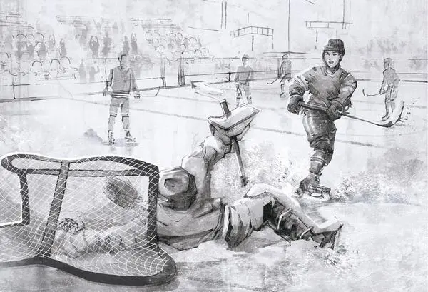 HOCKEY -ice grey — wzór z bliska