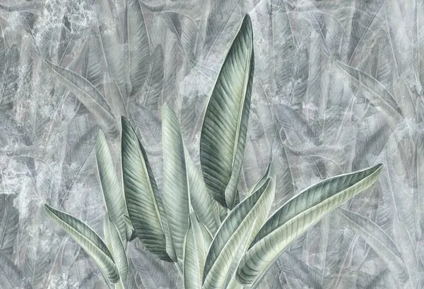 Kolor grey