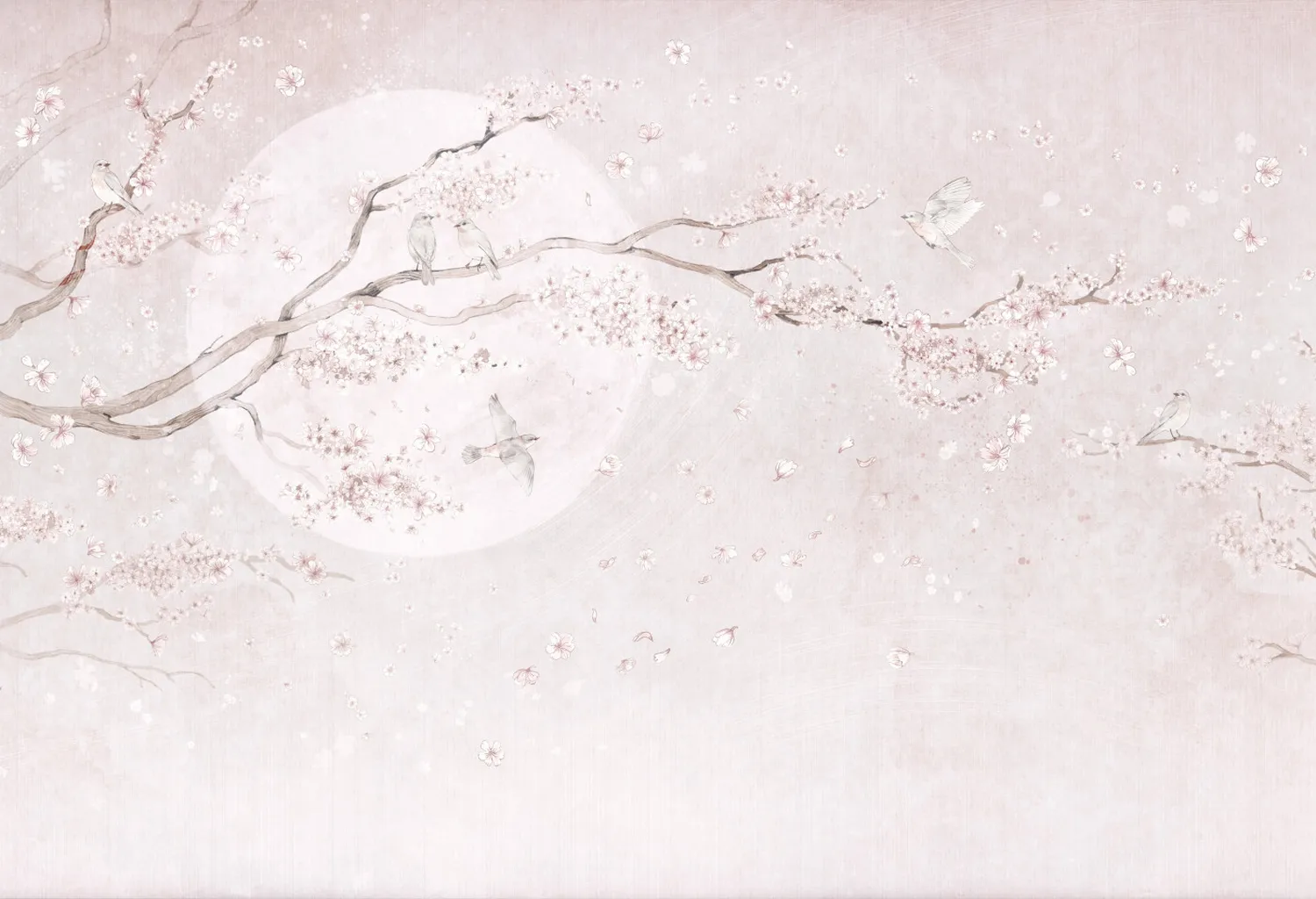 Magnolia 1