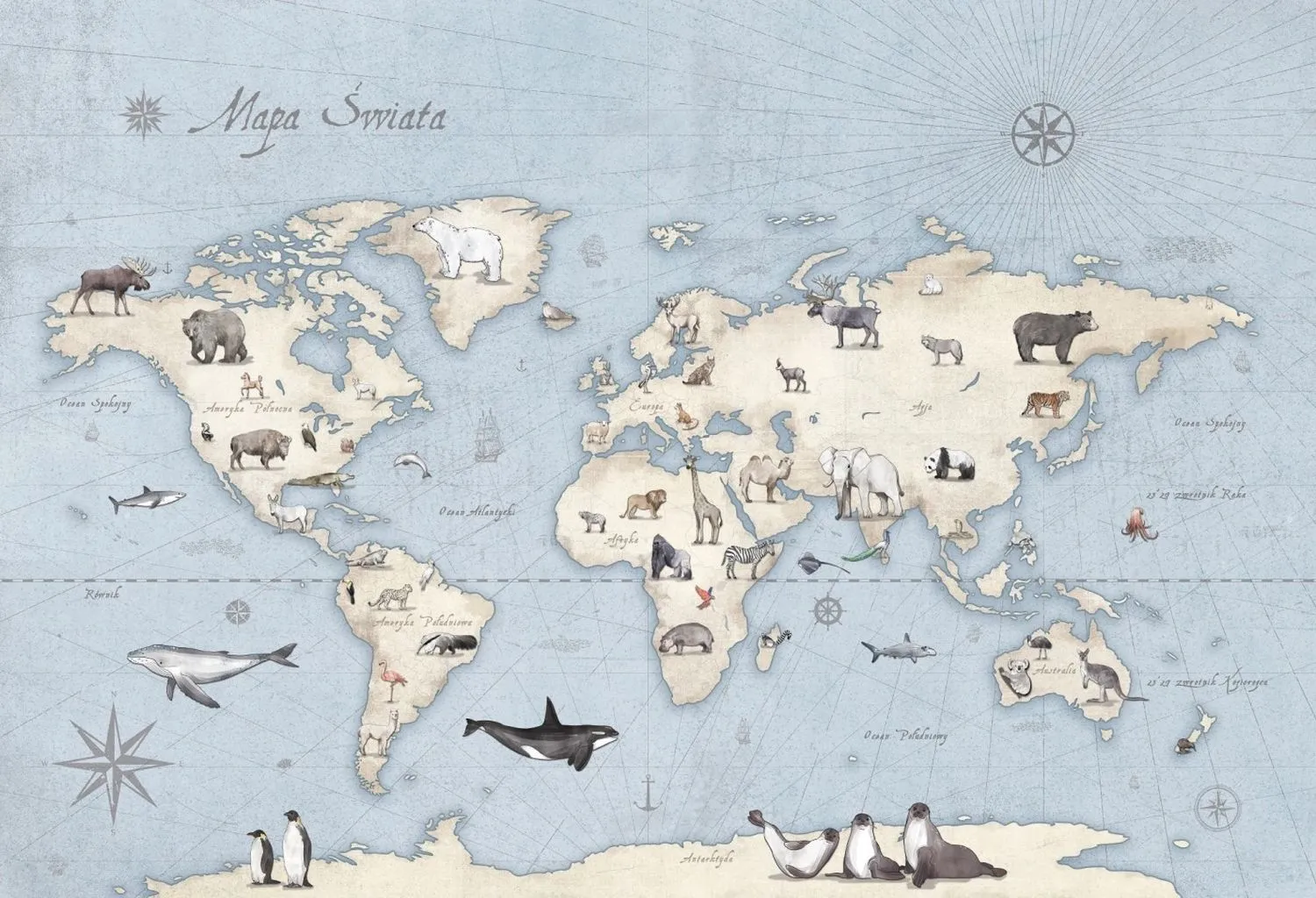 Maps 3