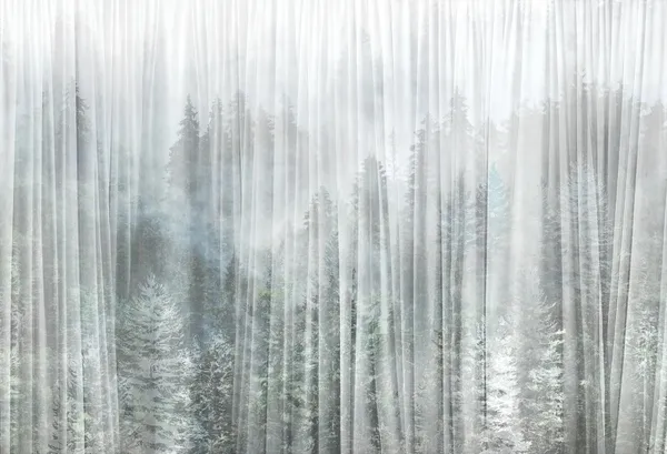 Misty — wzór z bliska