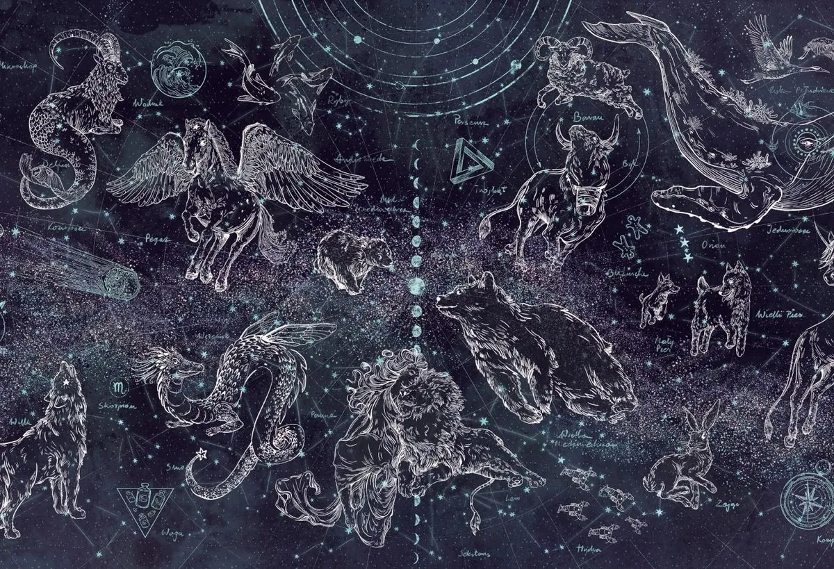 Nocne Niebo 2