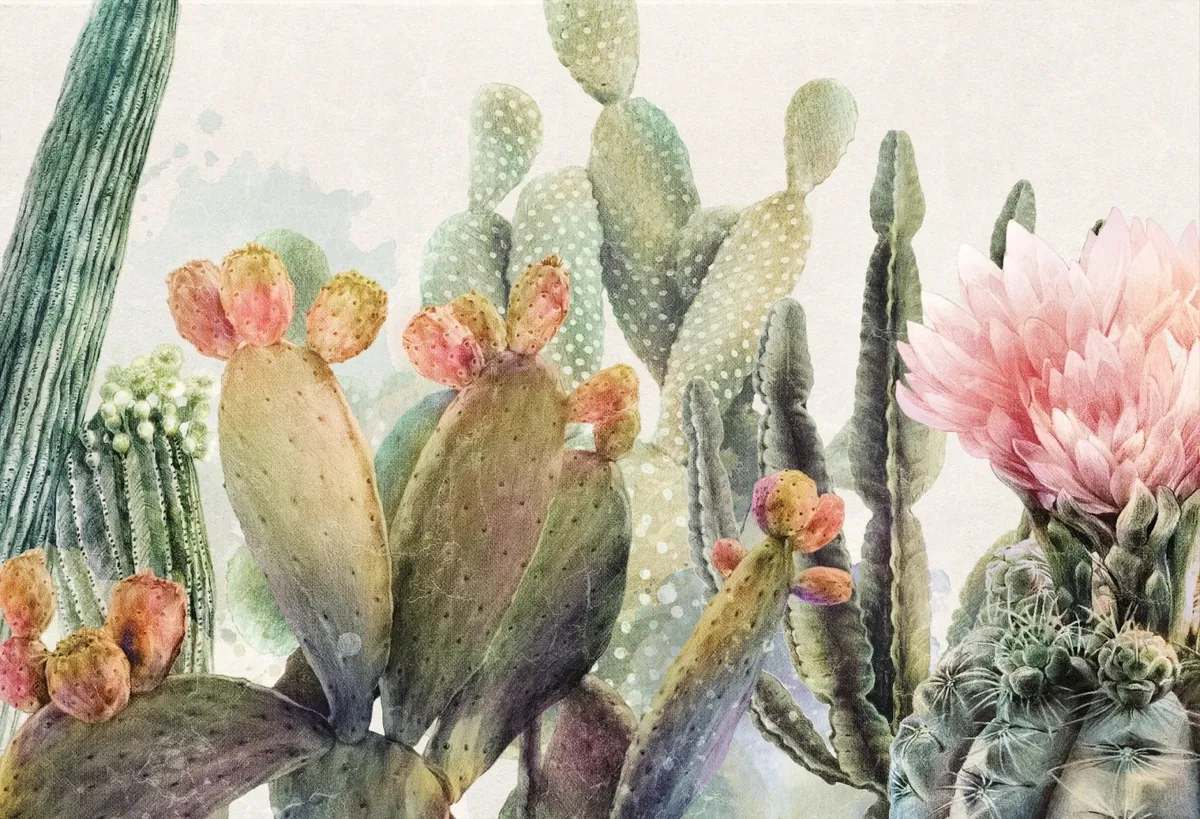 Opuntia — wizualizacja