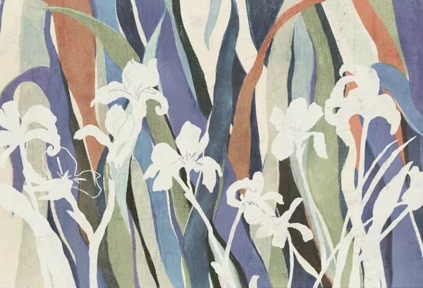 Kolor 00