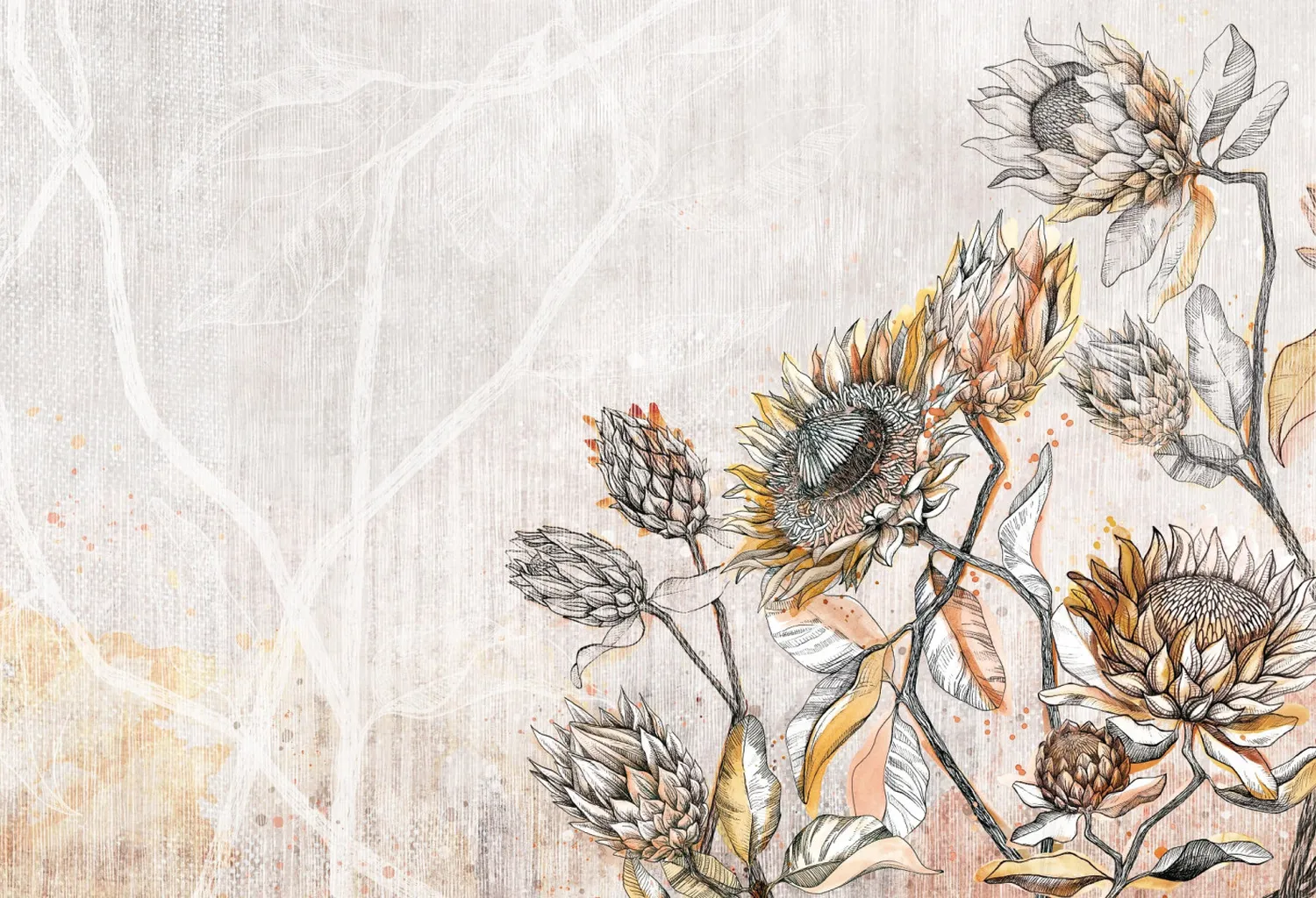 Protea 1