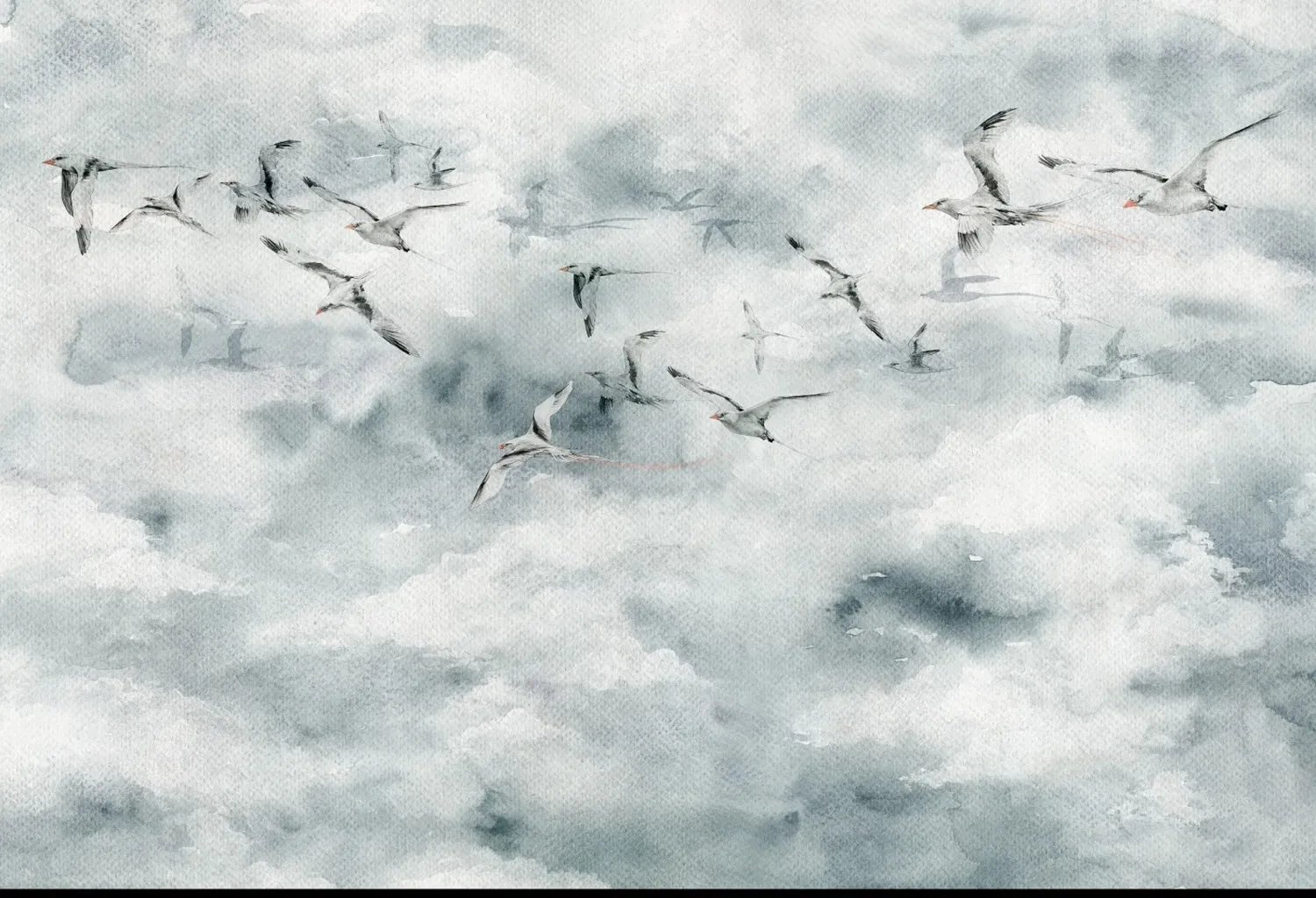 Seagulls 1