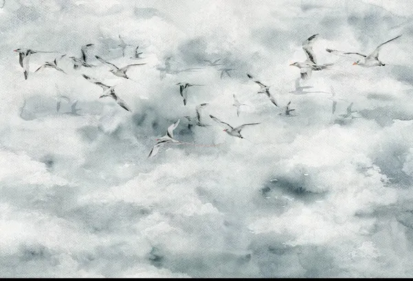 Seagulls — wzór z bliska