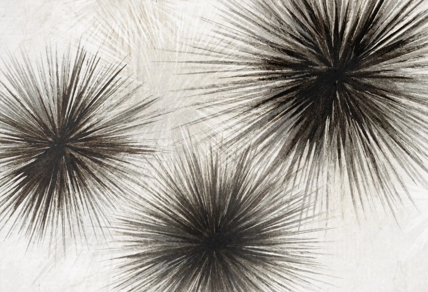 Uni 1