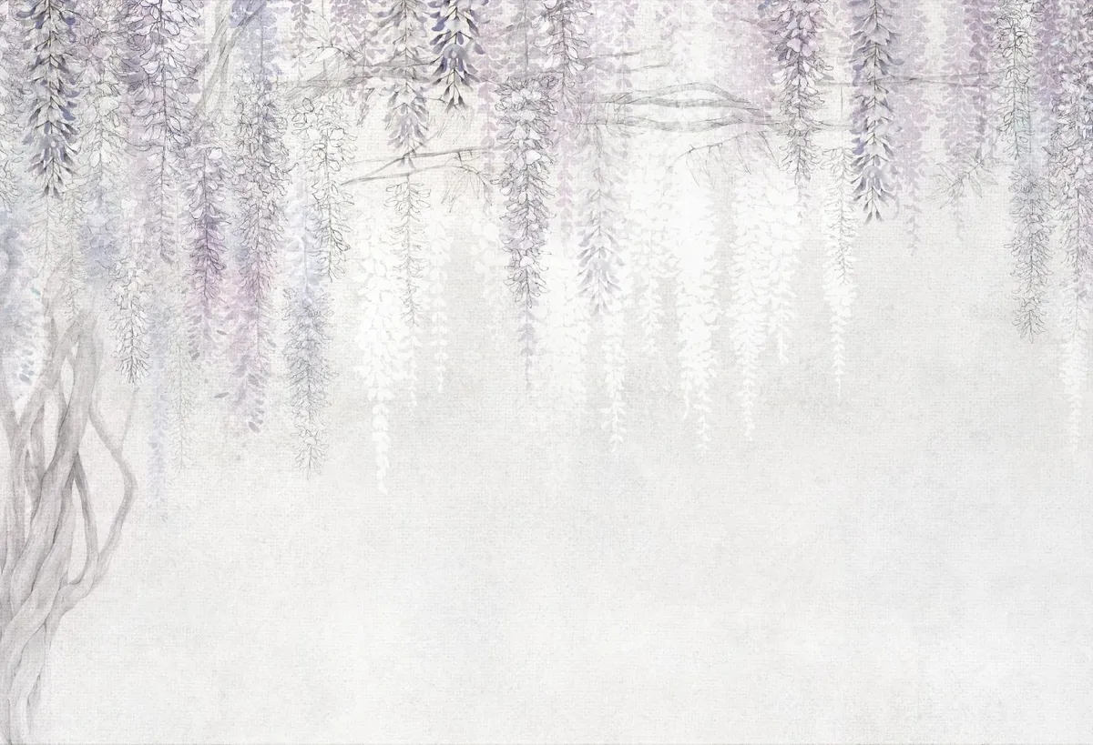 Wisteria 1