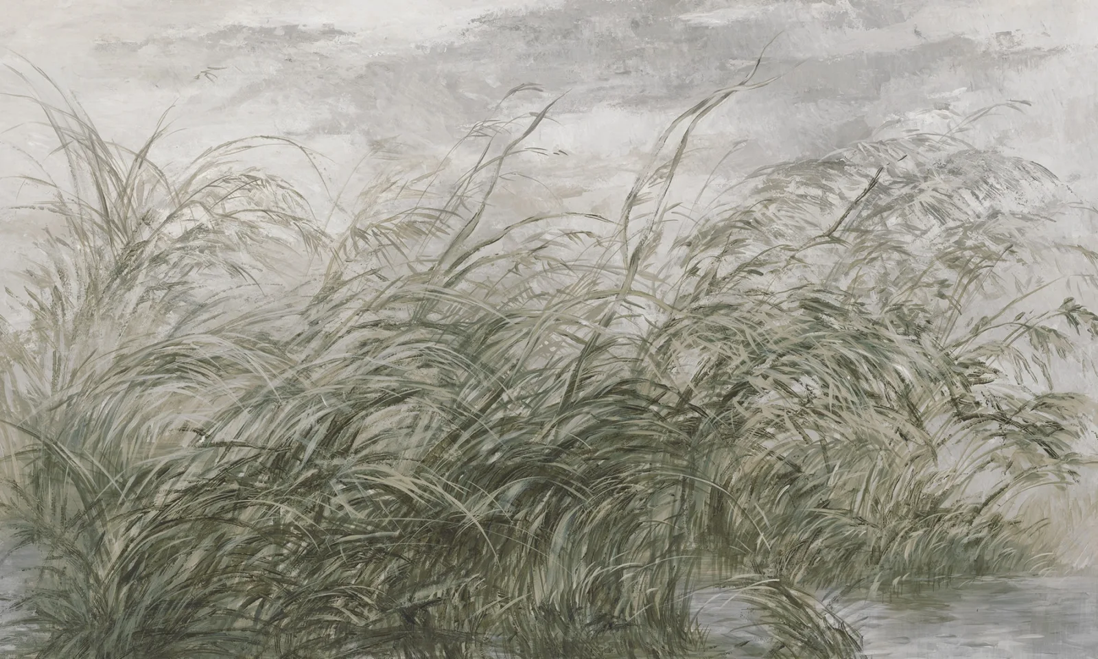 Early Dawn — wizualizacja