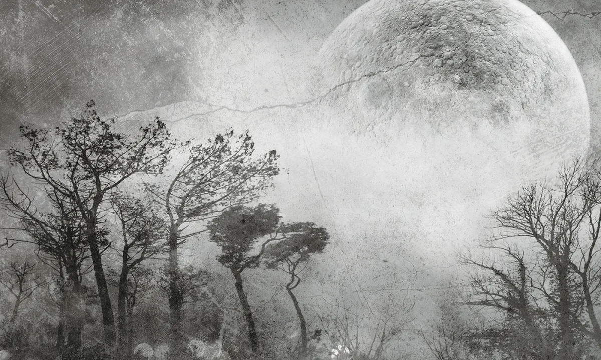 Moonlight 1