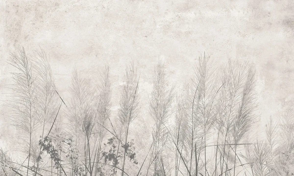 Morning mist 1