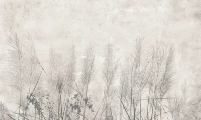 Morning mist — wzór z bliska