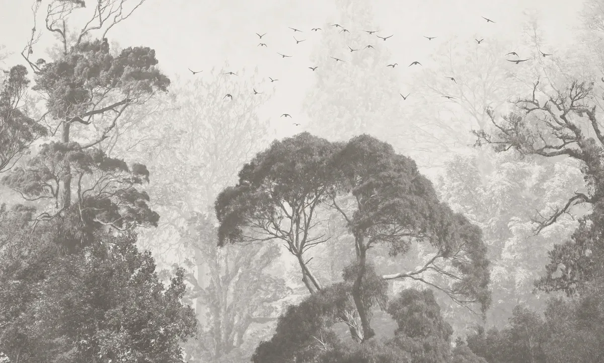 Rainforest 1