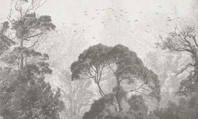 Rainforest — wzór z bliska
