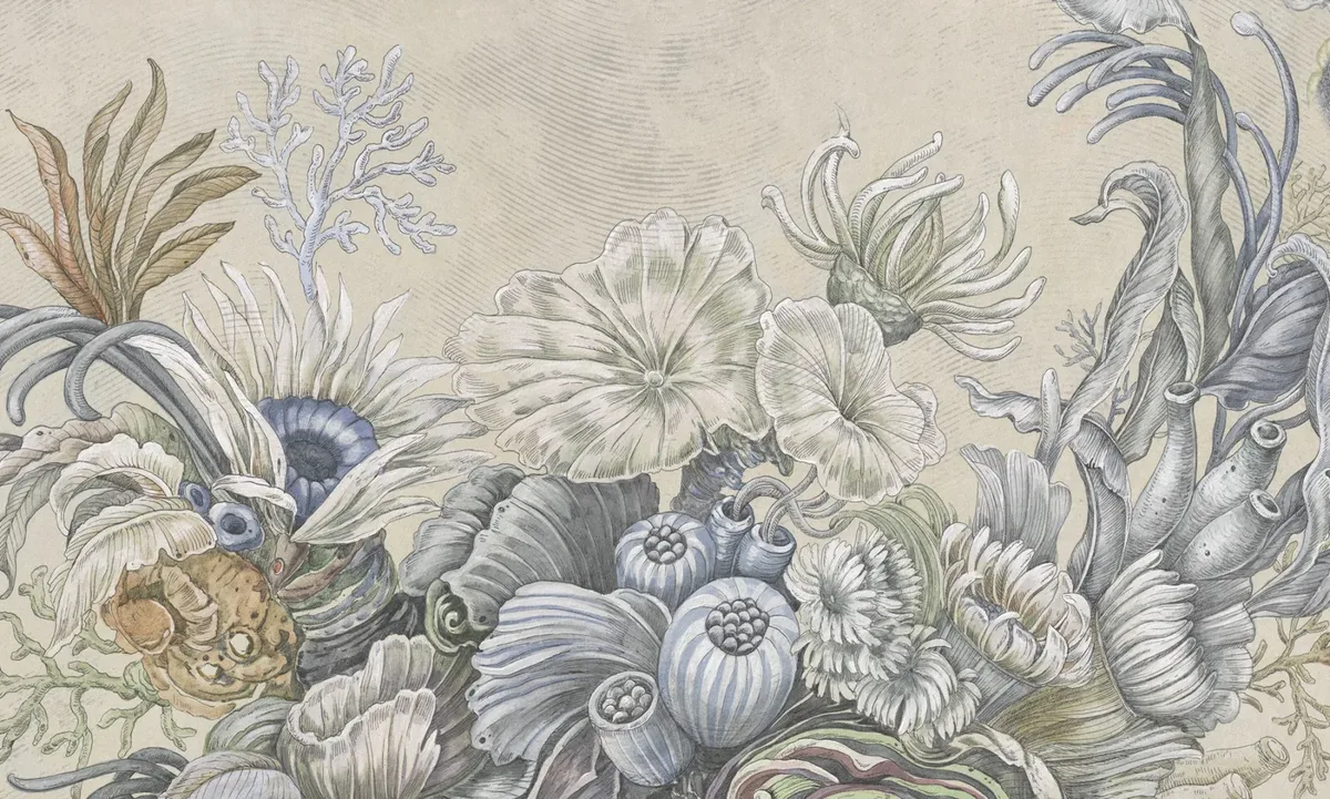 Reef reveries 1