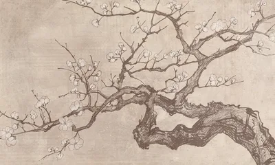 Tree portrait — wzór z bliska
