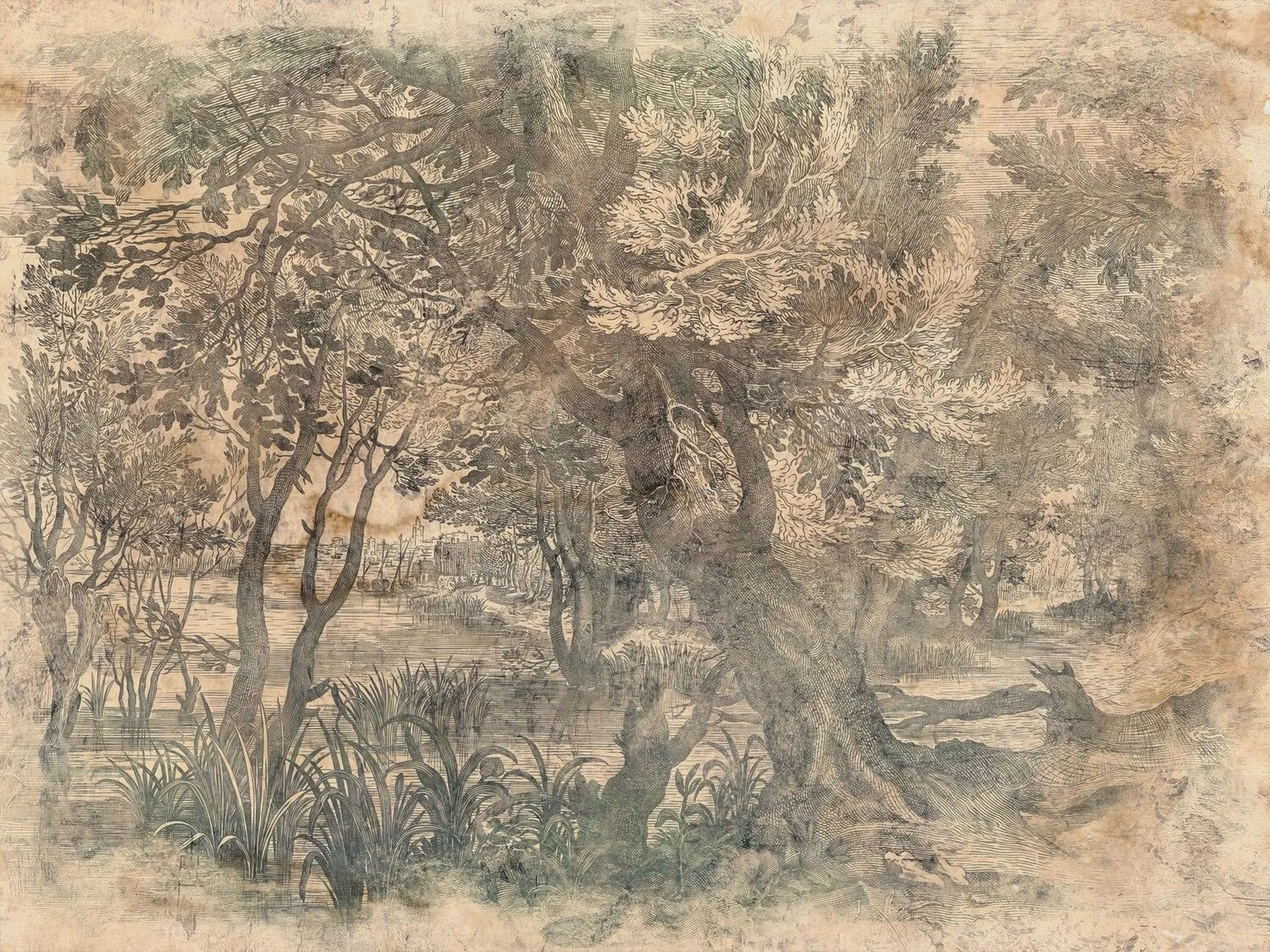 Elav 1