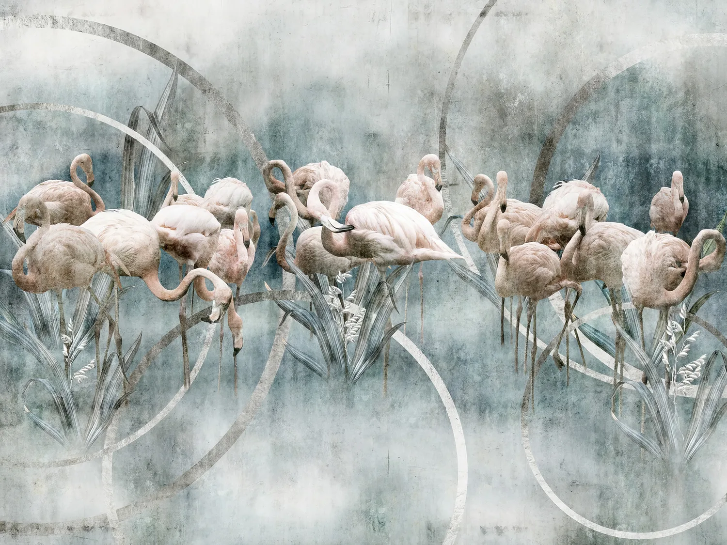 Flamingo 1