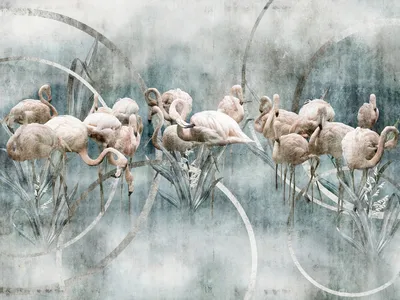 Flamingo — wzór z bliska