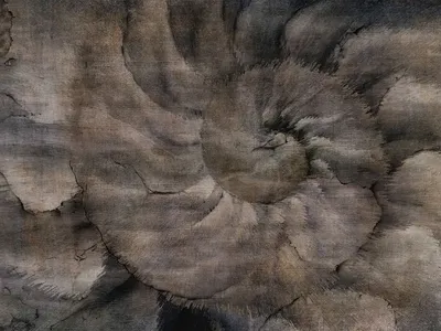 32