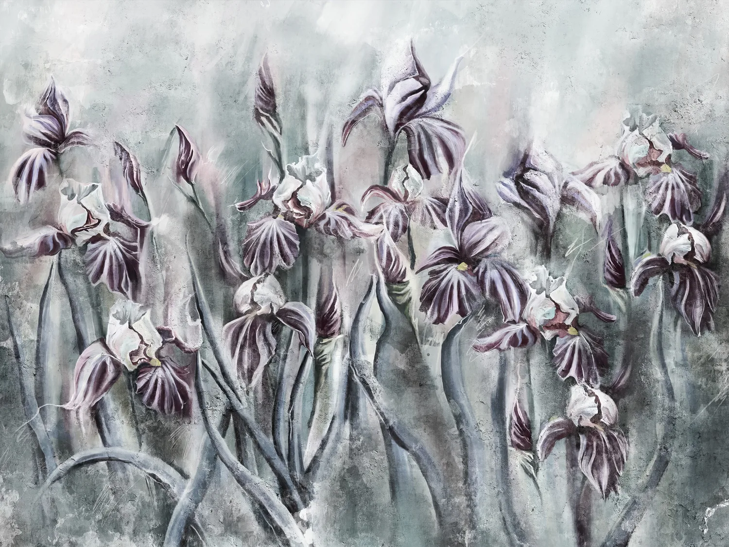 Iris 1