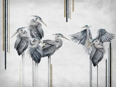 Livia — wzór z bliska